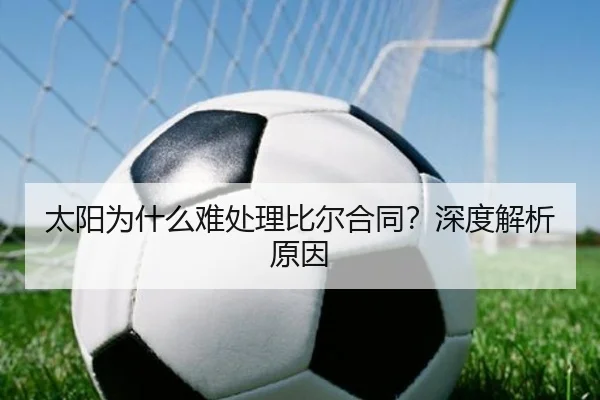 太阳为什么难处理比尔合同？深度解析原因