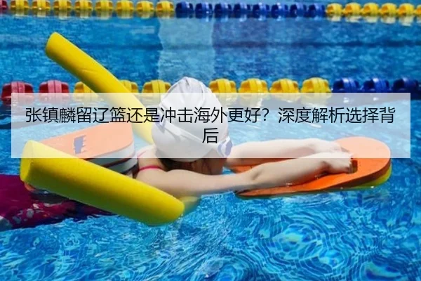 张镇麟留辽篮还是冲击海外更好？深度解析选择背后